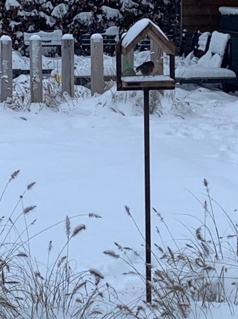 Fogelhuis in de sneeuw
