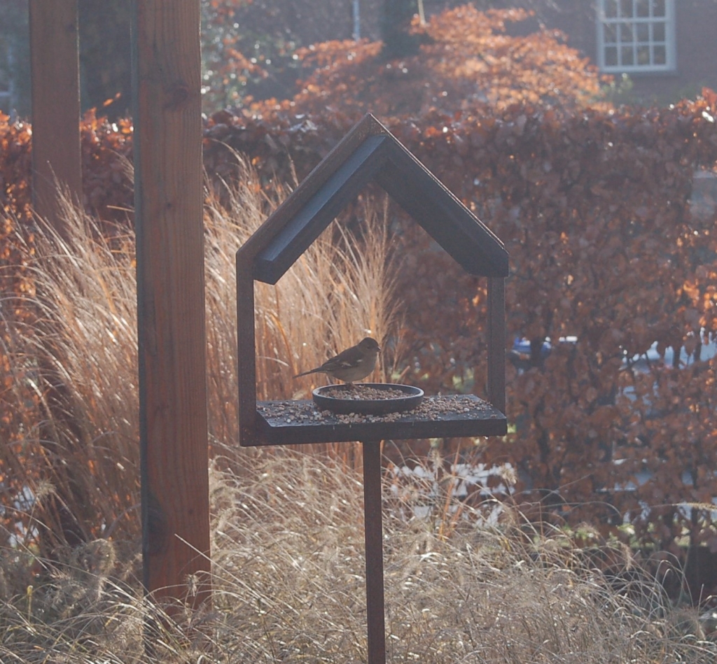 Vink bij een Fogelhuis in de winter